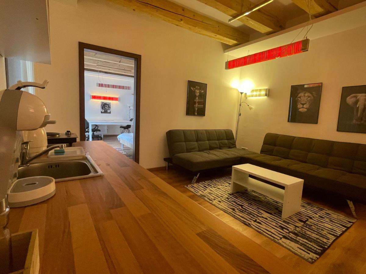 Savoya4 Old City Center Self Checkin Workspacestudio Timisoara Ngoại thất bức ảnh
